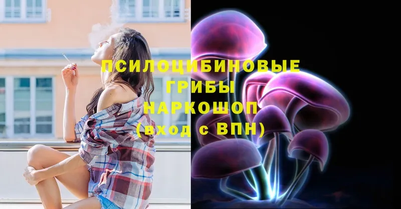 Псилоцибиновые грибы MAGIC MUSHROOMS Верхняя Пышма